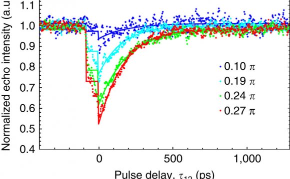 Echo detection of T1