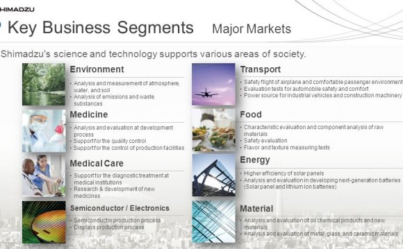 Key Business Segments Major